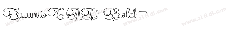 SuuntoCAD Bold字体转换